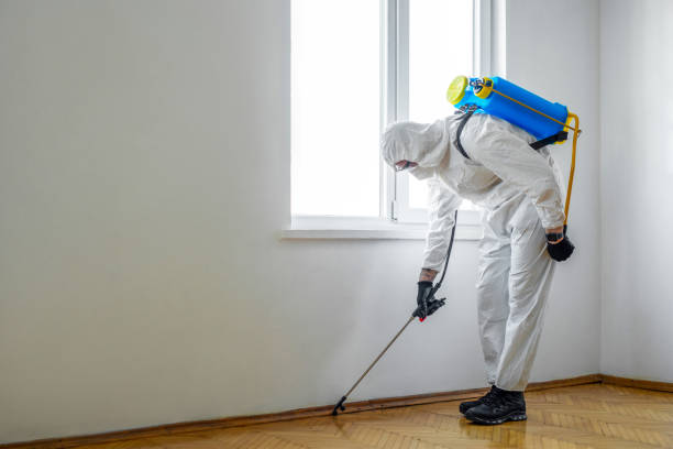 Best Wildlife Control Services  in Newell, WV