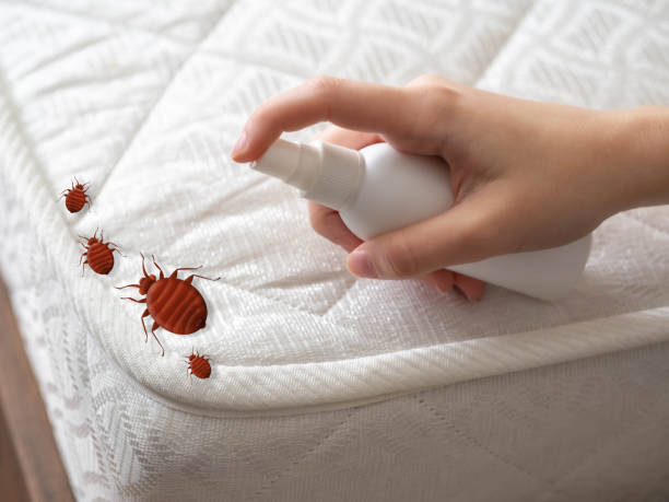 Best Commercial Pest Control Services  in Newell, WV